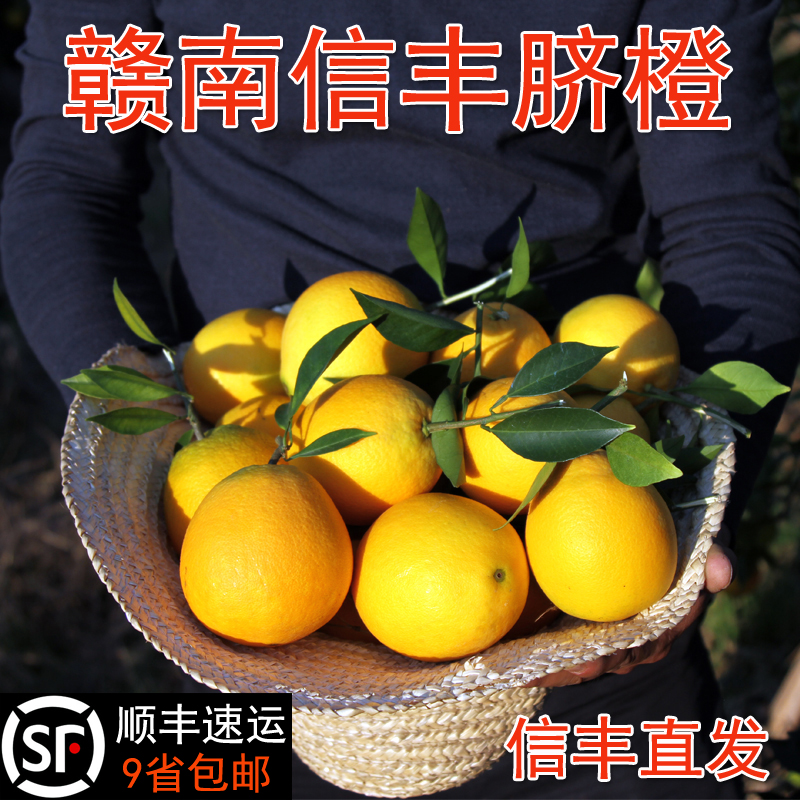 新鲜江西赣南脐橙10斤信丰甜橙子