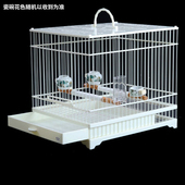 鸟笼颠颏红子塑钢鸟笼长方形靛颏养笼板顶亮顶玻璃钢洗澡笼抽屉笼