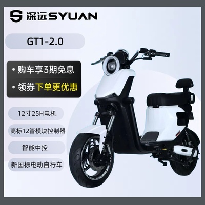 深远GT1新款2.0电动车新国标超长续航大容量电瓶车男女通用代步车