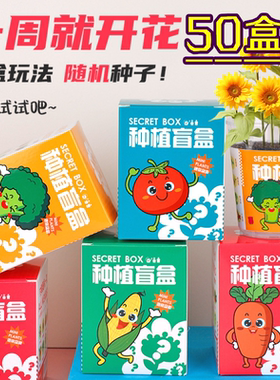 小学生奖品植物盆栽创意儿童礼品
