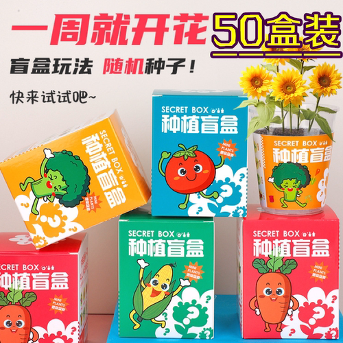 小学生奖品植物盆栽创意儿童礼品