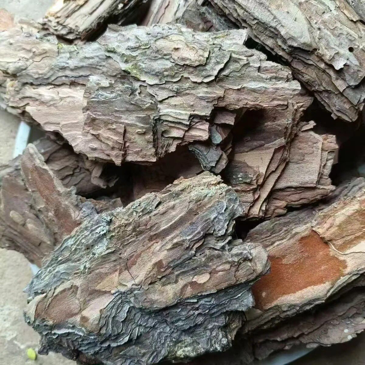 云南松老树皮松树皮泡脚栽花栽草专用百年老树皮松树皮大块发酵图片