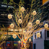 满天星地球仪星空球吊灯音乐餐厅烧烤酒吧户外防水球形氛围艺术灯