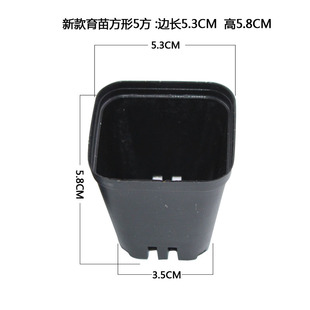塑料花盆育苗盆小花盆方盆5cm高空叶插小盆6方小黑方彩色小方花u.