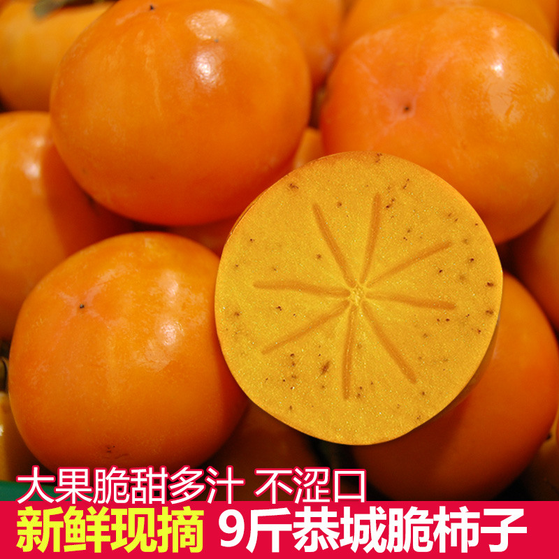 桂林巧克力脆柿甜柿子现摘当季硬柿子新鲜水果批发黄柿子带箱10斤在类目 水产肉类/新鲜蔬果/熟食, 新鲜水果, 柿子中 - 来自Buy2taobao.com提供专业的淘宝代购服务