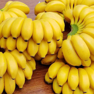 广西小米蕉当季水果新鲜9斤自然熟banana整箱苹果香蕉芭蕉包邮10