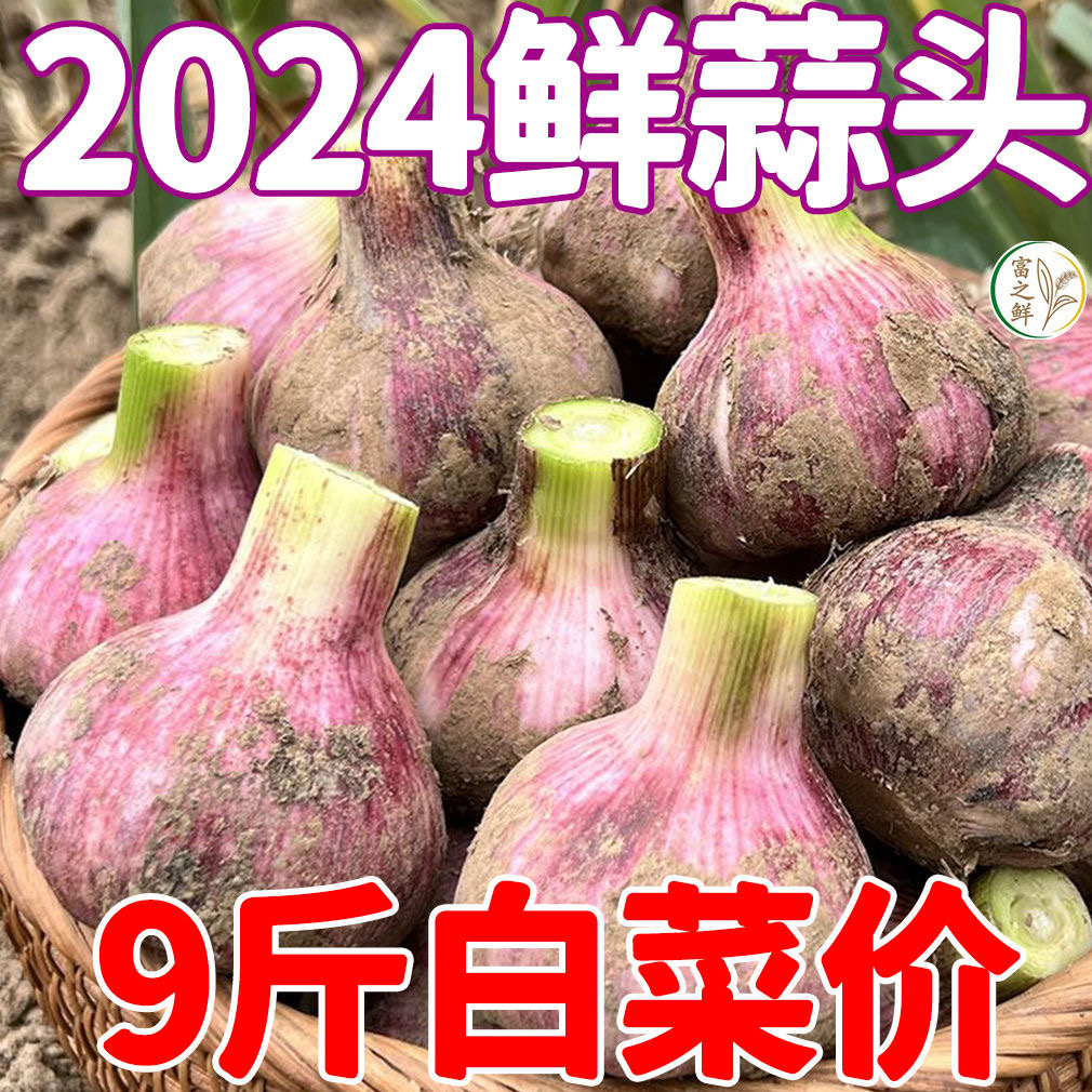 金约红皮大蒜批发包邮