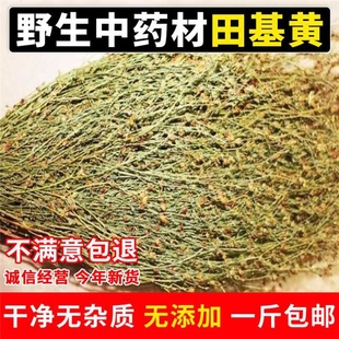 野生中药材田基黄 地耳草 黄花草 雀舌草500克整株田基王包邮草本