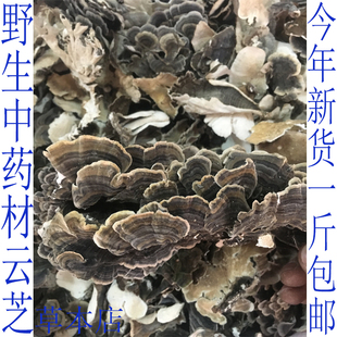 野生中药材云芝黄云芝长白山野云芝云芝菌1斤500克包邮