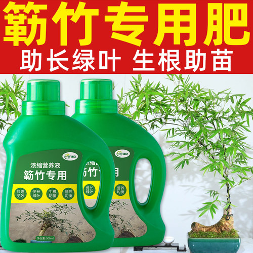 簕竹肥料小叶勒竹专用肥水培米竹内门竹毛竹竹科养竹子复合营养液