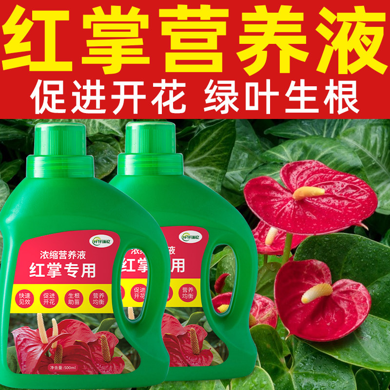 红掌专用肥水培盆栽白掌营养液复合肥料白掌水溶有机花卉植物绿植