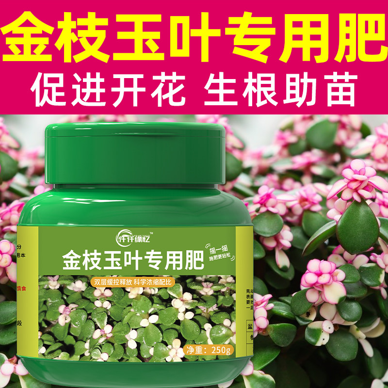 金枝玉叶专用肥营养液肥料有机花卉绿植养花复合盆栽开花种花通用