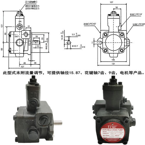 TCMC盛菖液压油泵TCVP-F20/F15/F30/F40/F12-A3叶片泵A4 A2 A1-02