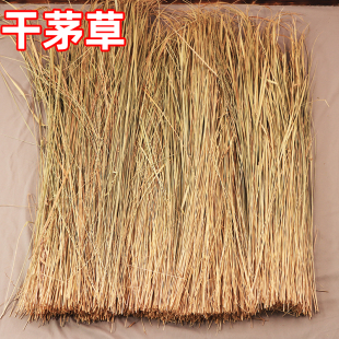 干茅草自然野生新收晒干农家乐农庄屋顶隔热景区茅草瓦草编织雨棚