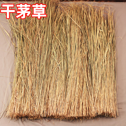干茅草自然野生新收晒干农家乐农庄屋顶隔热景区茅草瓦草编织雨棚
