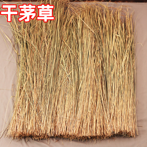 干茅草自然野生新收晒干屋顶隔热