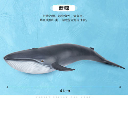 大号蓝鲸玩具软胶充棉耐摔环保
