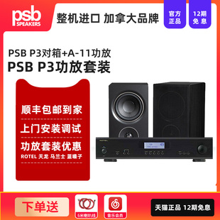 大功率功放套装 PSB AIpha T20音箱 路遥A11V03致敬款