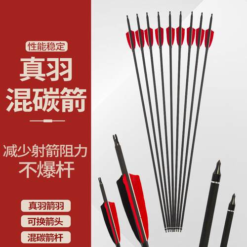 复合弓箭支传统反曲弓射箭练习玻
