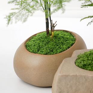 仿真苔藓 y造景盆景铺面草皮植装饰状假仿真苔藓苔藓di绿人造青丝
