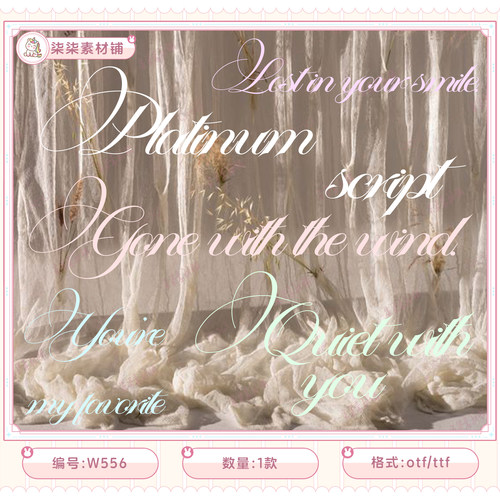 优雅奢华婚礼主题贺卡封面标题LOGO设计书法手写英文字体素材W556