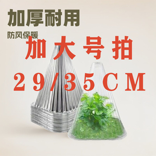 加大加厚29/35公分育苗保护罩可重复使用方形免受鸟类霜冻伤害