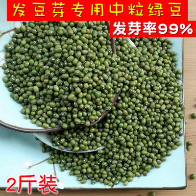 2斤新中粒发豆芽绿豆生1000g自种