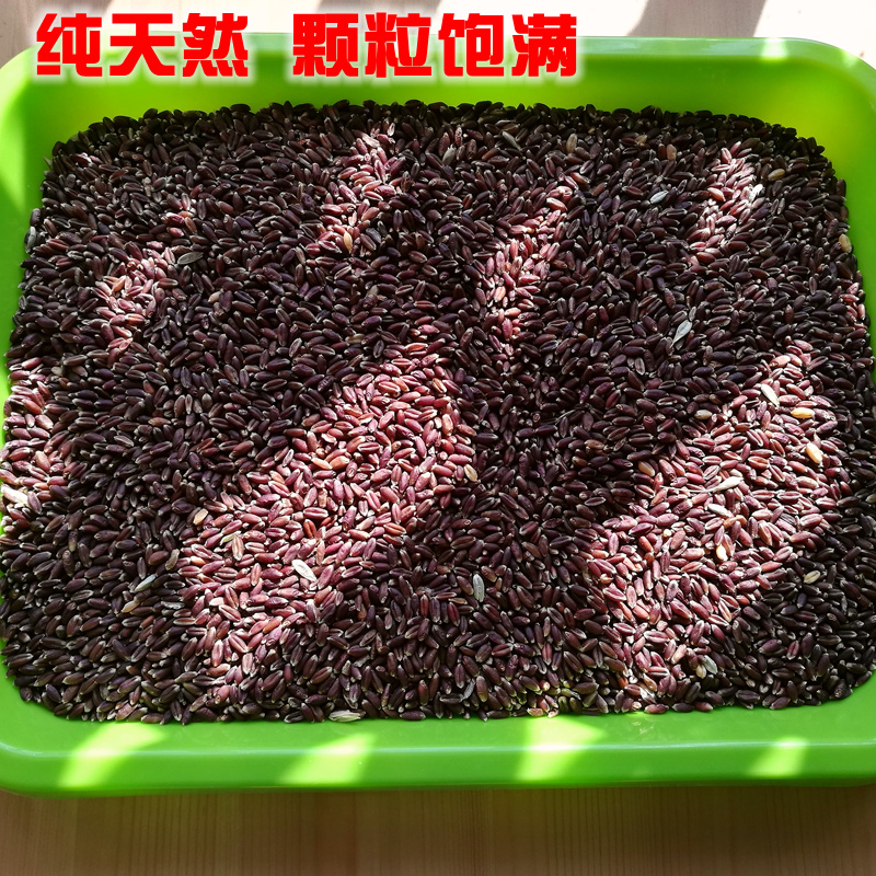 农家富硒黑小麦粒磨面食用发芽