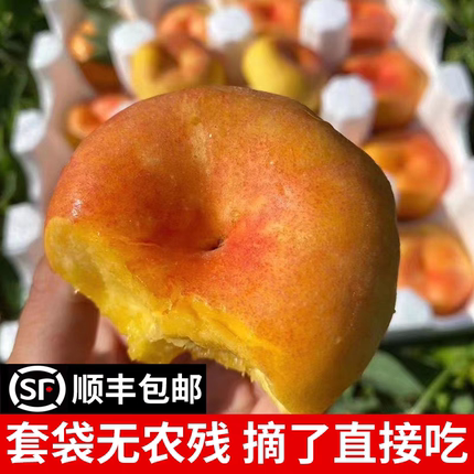 山东蒙阴紫金霞彩虹黄油蟠桃水果新鲜桃子当季孕妇整箱水果蜜桃