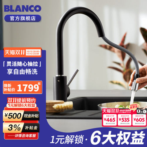 抽拉旋转冷热水铂浪高