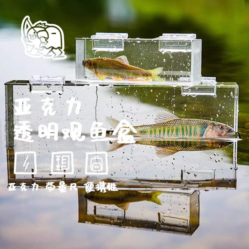 观鱼盒透明亚克力观察盒野采小物钓带刻度尺便携溪流微物路亚马口