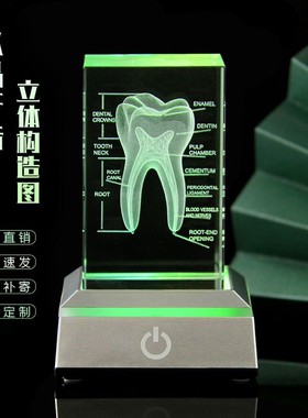 水晶牙齿模型医学院医生礼物诊所摆件口腔门诊摆件口腔前台摆件