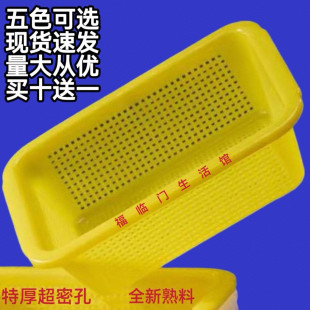 特厚密孔塑料篮长方形加厚厨房淘米洗菜沥水篮家用收纳滤水筐熟料