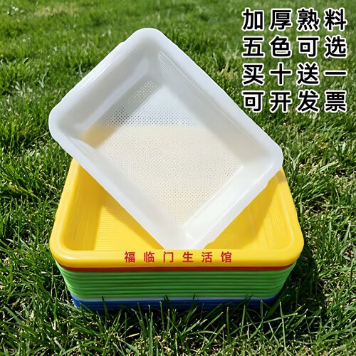 特厚特密孔淘米洗菜沥水篮多用款