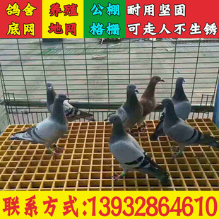 玻璃钢格栅鸽舍地网养殖网漏粪板复合格栅狗笼子底微孔鸽子窝地网