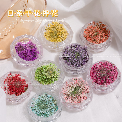 美甲日系干花押花饰品
