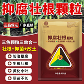 正品 抑腐壮根三色颗粒促生根防根腐烂根青枯生根养根提苗壮棵肥料