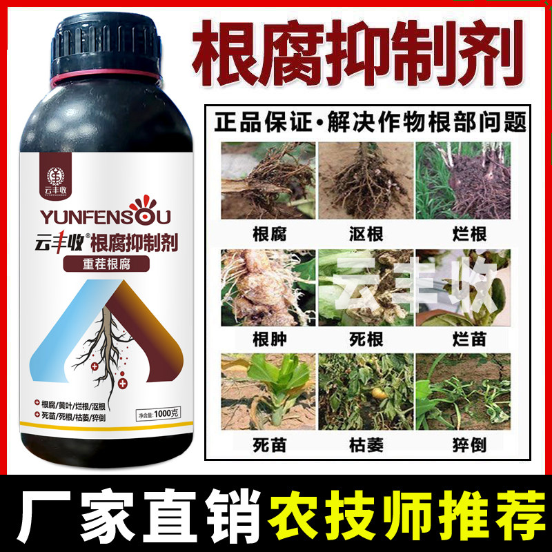 云丰收根腐抑制剂槟榔抗重茬防根腐猝倒黄叶促生根厂家直销正品