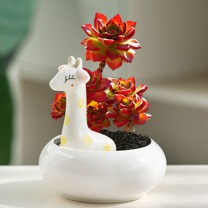 白色多肉花盆家居装饰陶瓷可爱动物卡通小栽室内肉肉植物简约花盆