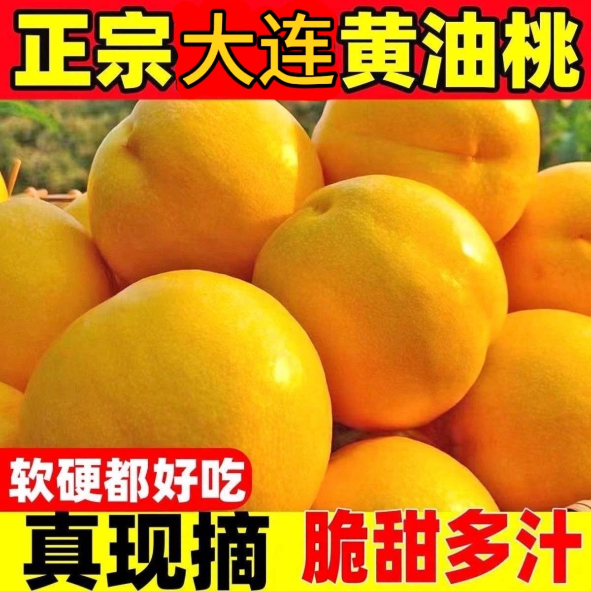 大连黄金大油桃无毛脆甜软糯多汁图片