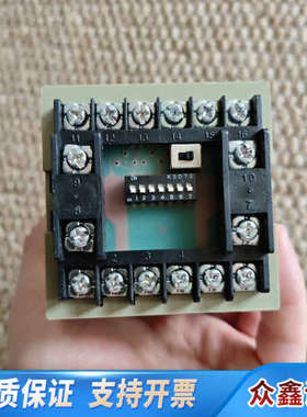 NITTO SEIKO TOTALIZER TH61，流量计