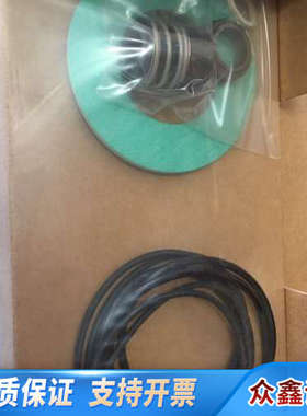 DP PUMP VF10 SEALKIT GARNITU.议价