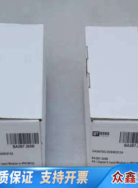 GSEE TECH吉诺模块GASI67SG-DO8/B2