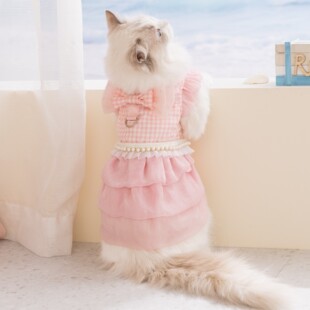 猫咪连衣裙春夏季猫咪裙子公主风结成猫幼猫薄款透气宠物衣服