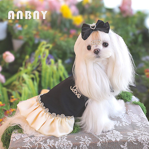 高级感宠物衣服狗狗约克夏小型犬高定公主裙宠物裙子