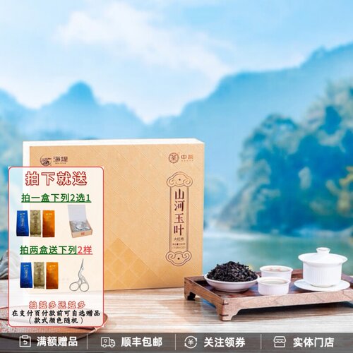 中茶海堤山河玉叶大红袍礼盒新品
