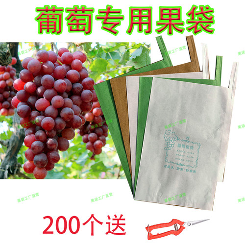 葡萄专用套袋露天葡萄袋子葡萄纸袋巨峰葡萄套袋防虫防鸟防雨包邮 - 封面