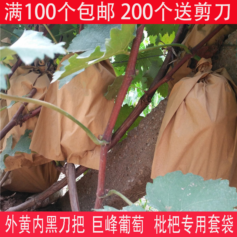露天葡萄专用套袋葡萄纸袋梨袋子外黄内黑巨峰葡萄套袋子防虫包邮