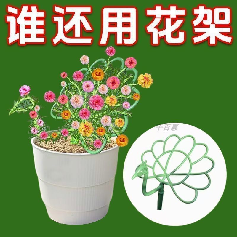 孔雀造型支撑杆太阳花支架支撑架棒棒糖花架子固定架其它园艺用品,模玩/动漫/周边/娃圈三坑/桌游,动漫水杯/居家/百货,淘宝优惠券,粉丝福利购,淘宝优惠卷