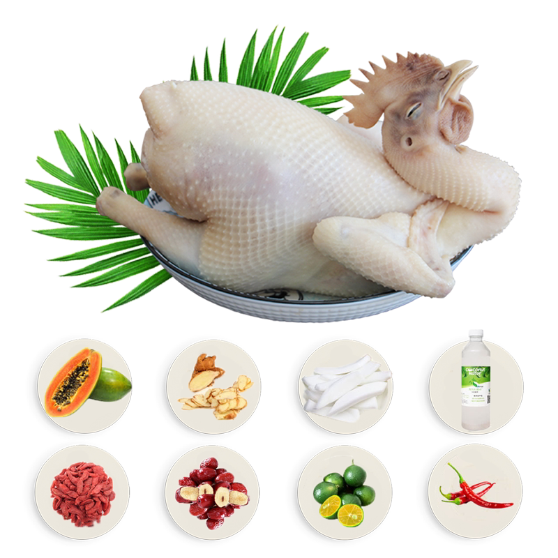 正宗海南椰子鸡全套餐火锅木瓜文昌鸡汤配料齐全食材新鲜顺丰空运